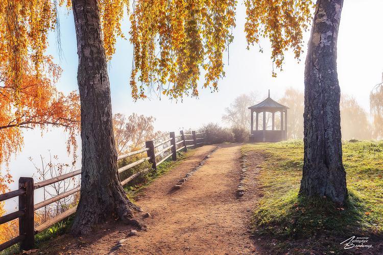 Блеск осетра, сырные берега и волшебная шкатулка