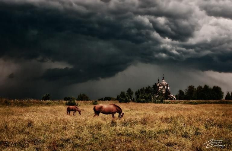 Автобус| Батуми — жемчужина Черноморья