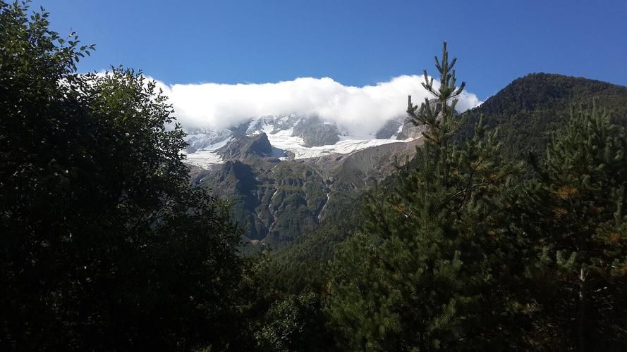 Алтай в деталях: от степей до озёр