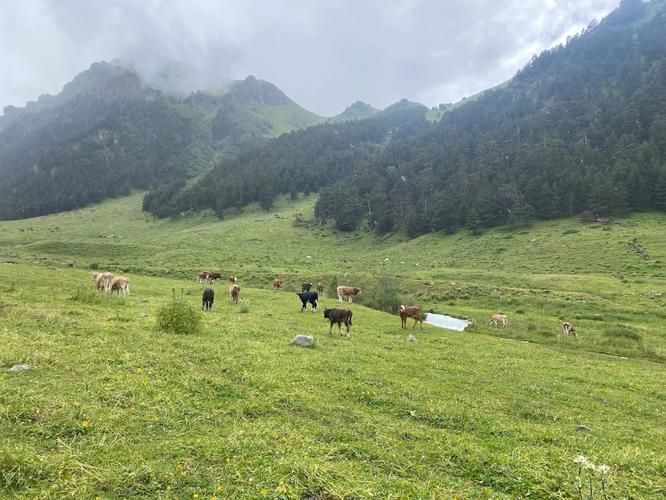 Лучше гор — только горы, что знают твоё имя