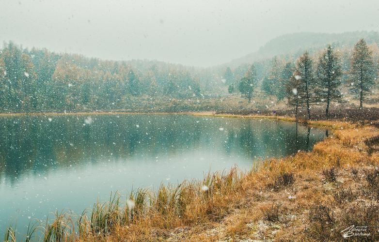 Алтайская симфония чувств