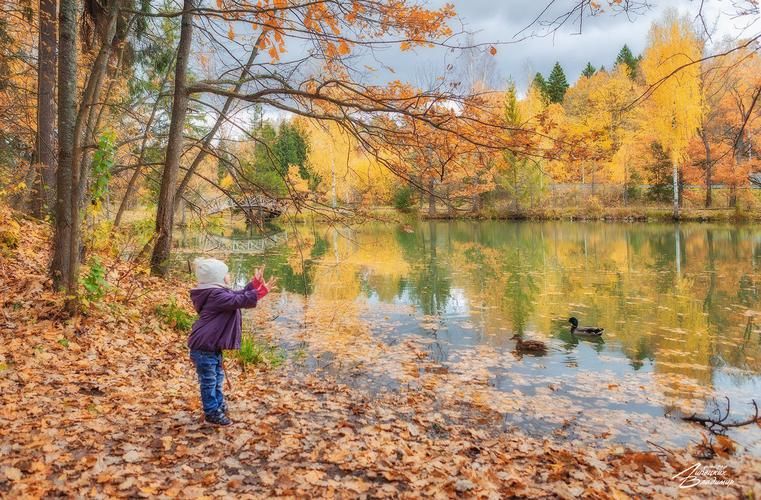 Путешествие по смоленским дворянским усадьбам