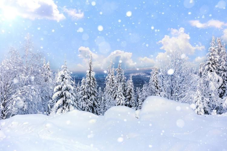 Автобус| Кавказ в огнях Нового года из Пензы