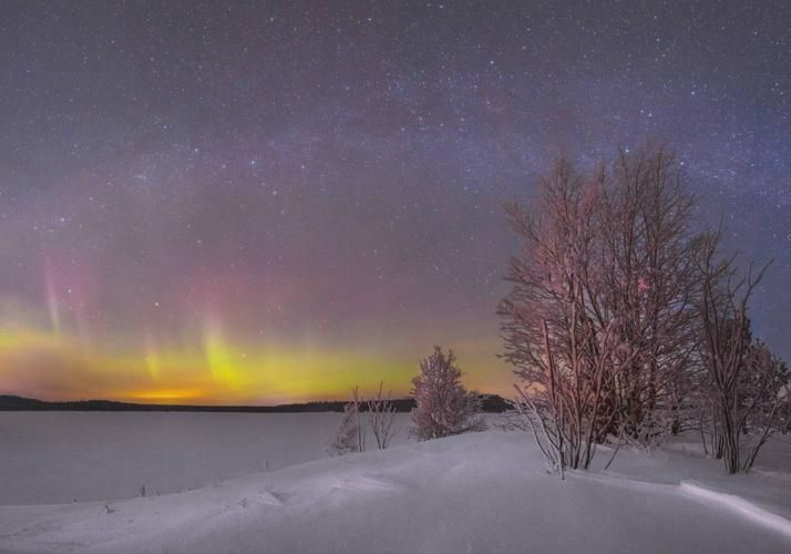 Автобус| Где море поёт, а пузырьки — шепчут сказки из Твери