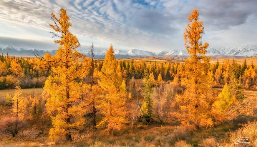 Relax в глемпинге Чемальского района (промо)