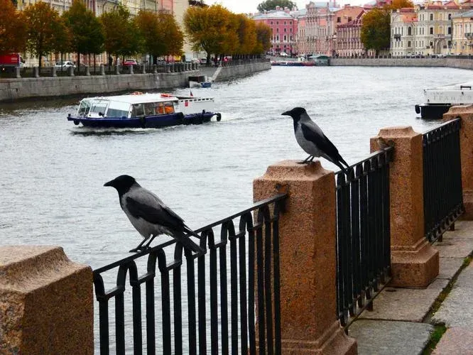 Праздник закрытия фонтанов в Санкт-Петербурге (промо)