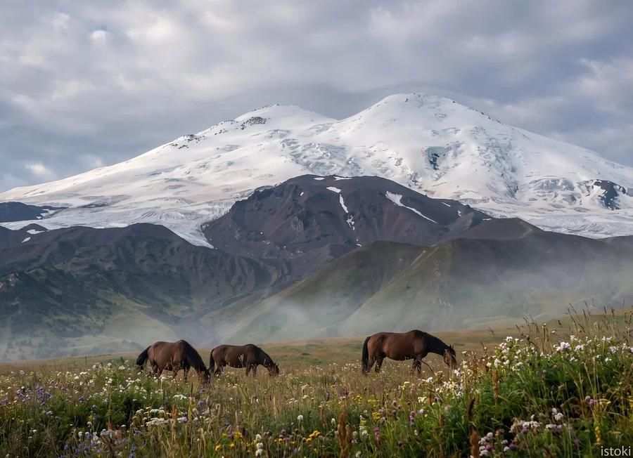 Ереван — Гюмри: контрасты и гармония армянской земли