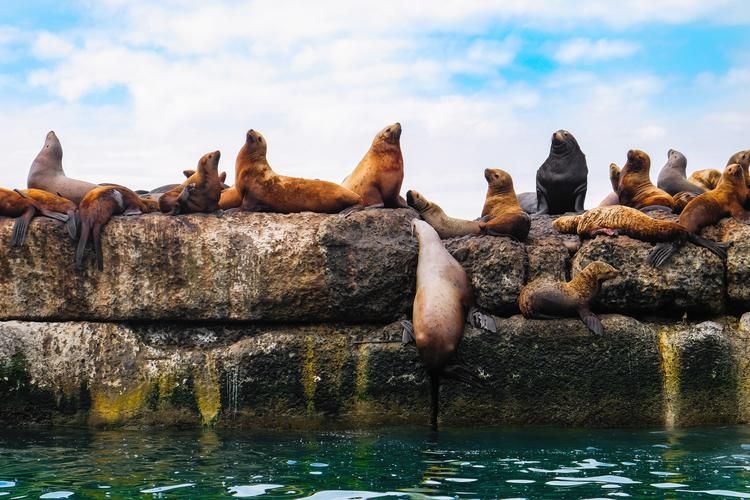 Тайны и жемчужины Курильской гряды