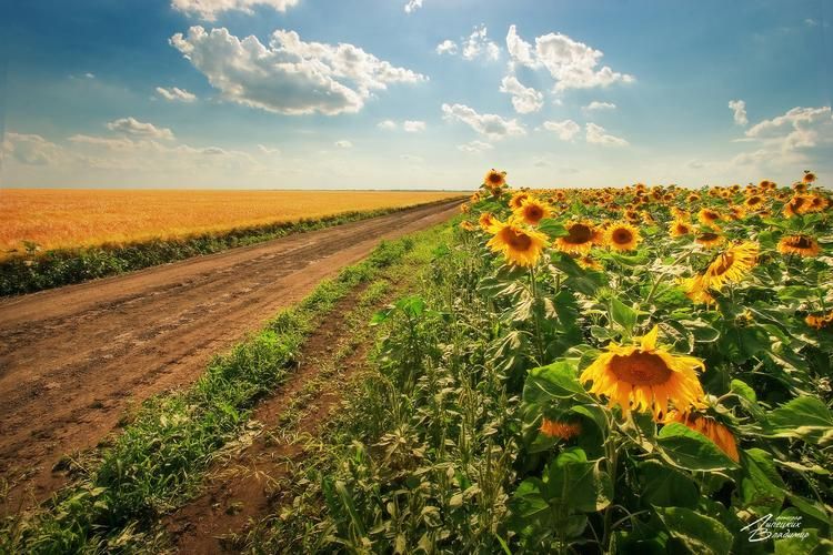 Автобус| Где море поёт, а пузырьки — шепчут сказки из Твери